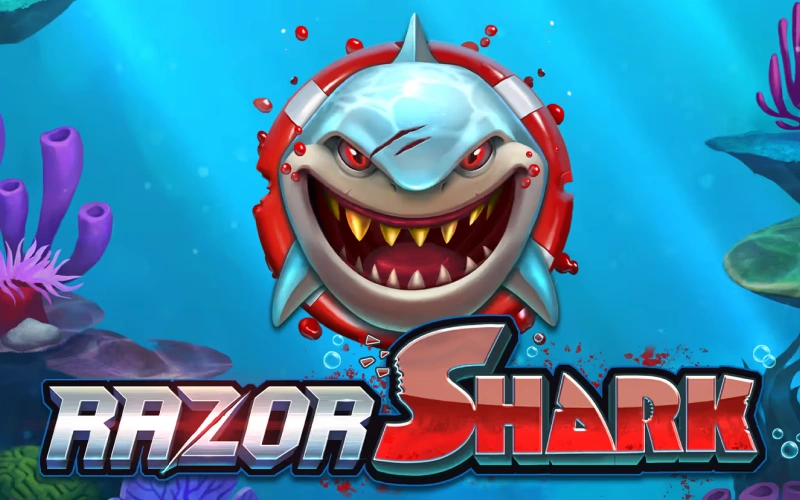 Prueba la suerte en Razor Shark con Melbet oficial Argentina.