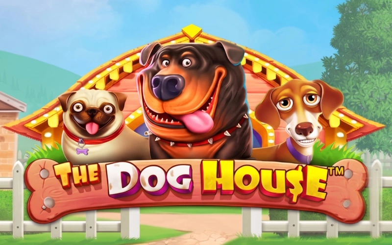 Multiplica tu dinero jugando The Dog House en Melbet oficial.